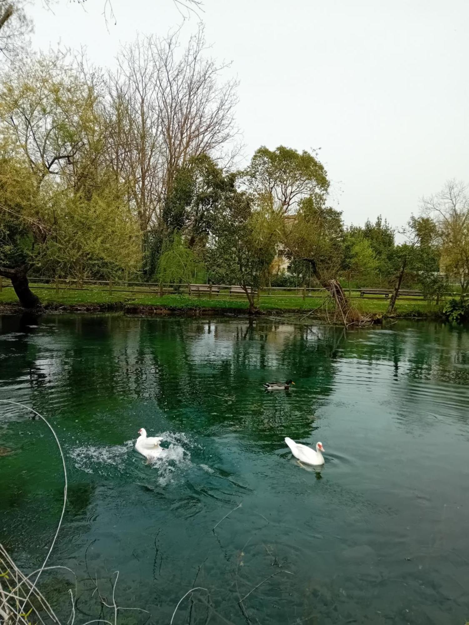 Apartament Bella Di Notte San Giorgio a Liri Zewnętrze zdjęcie